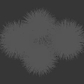 Three Clumps of Green Grass on Dark Background with Height Measurement Scale in Centimeters