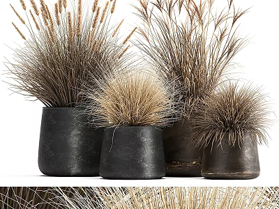 Decorative Ornament Set With Black Pots And Dried Grass For Home Decor 3d model