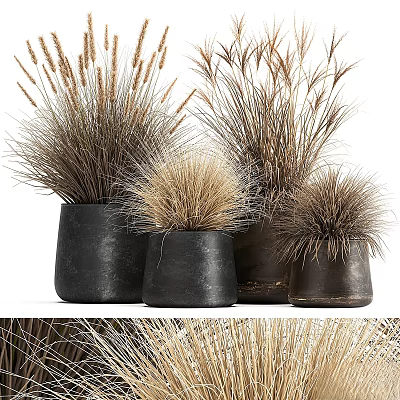 Decorative Ornament Set With Black Pots And Dried Grass For Home Decor 3d model