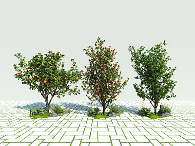 Three Arbor Trees With Different Leaves And Fruits On White Brick Ground Against Light Sky 3d model