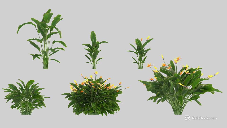 Various Decorative Green Plants With Lush Leaves And Yellow Blooms In Different Forms 3d model 
