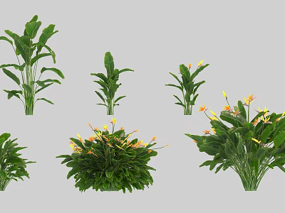 Various Decorative Green Plants With Lush Leaves And Yellow Blooms In Different Forms 3d model