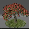 Various Garden Shrubs With Red And Green Foliage In Different Shapes On Green Grass