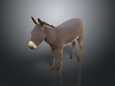 Realistic Brown Donkey Standing With Natural Fur And Ears On Dark Background 3d model