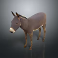 Realistic Brown Donkey Standing With Natural Fur And Ears On Dark Background