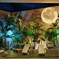 Cozy Outdoor Vibe Cafe With Starry Ceiling Tent String Lights Plants Tables And Chairs