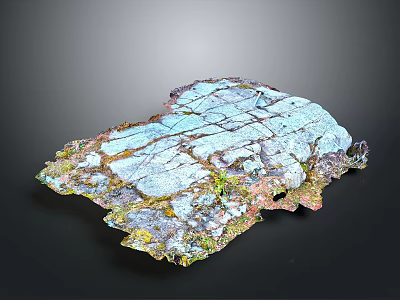 Natural Wood Stone Material With Colorful Cracked Surface And Unique Texture For Decoration 3d model
