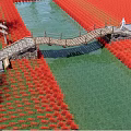 Scenic Wooden Landscape Bridge Over Small River Amid Red Flower Fields And Stone Path