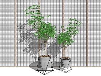 Modern potted green plants potted plants bonsai decorative ornaments 3d model