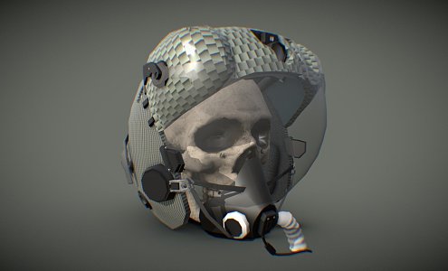 Pilot's Helmet 3d model