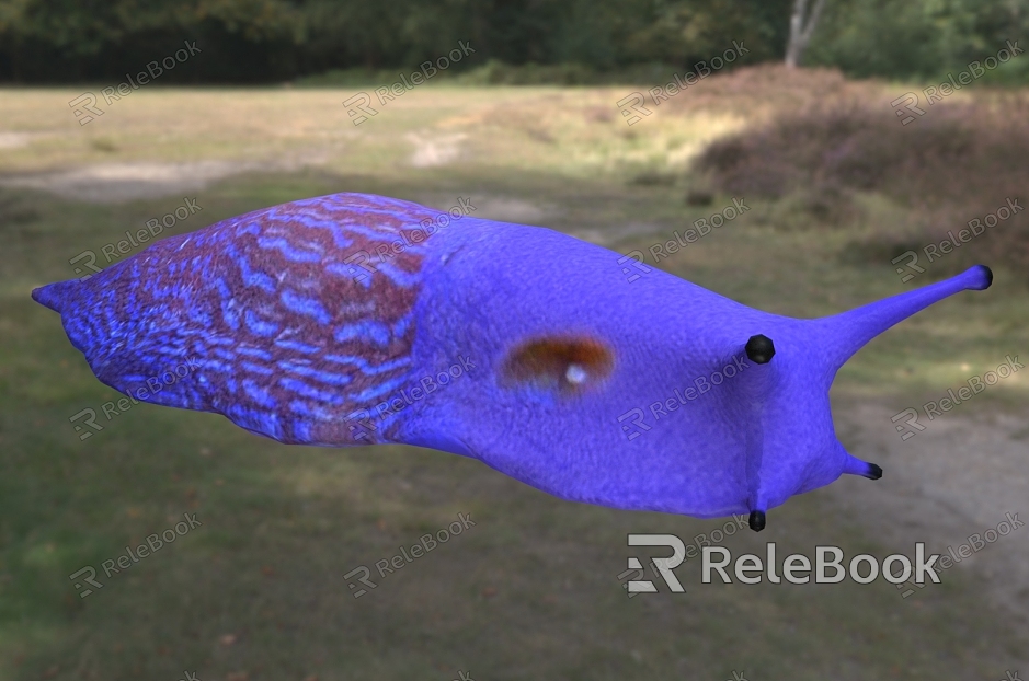 Carpathian blue slug model