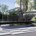 Serene Garden Landscape With Tall Trees Green Shrubs And Stone Pathways