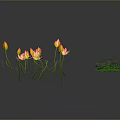 Beautiful Lotus Flowers And Green Leaves Floating On Water Surface With Small Plants