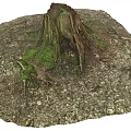 Natural Wood Tree Stump With Stones Moss And Fallen Leaves On Ground