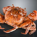 Whole Cooked Brown Crab With Shiny Shell Large Claws And Legs