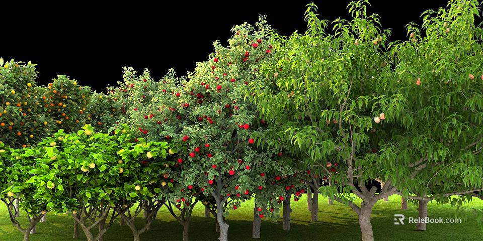 Lush Fruit Trees With Red Yellow Fruits And Green Leaves Growing On Grassy Land 3d model 