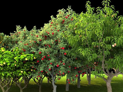Lush Fruit Trees With Red Yellow Fruits And Green Leaves Growing On Grassy Land 3d model