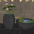 Courtyard Garden Design With Ceramic Pot Lotus Flowers Lily Pads And Goldfish Basin