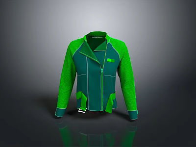 Green And Teal Color Block Jacket With Zipper Closure Stand Collar And Pockets 3d model