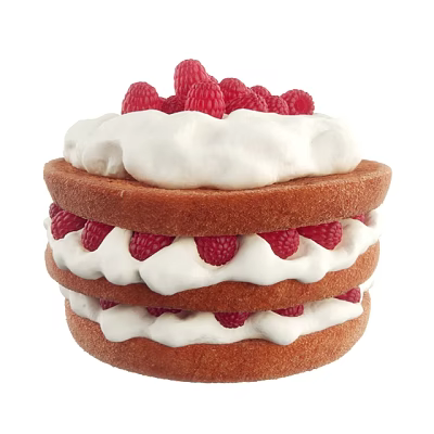 Delicious Layered Sponge Cake With Fresh Raspberries And Whipped Cream 3d model Delicious Layered Sponge Cake With Fresh Raspberries And Whipped Cream 3d model