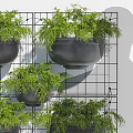 Bonsai Potted Plants on Metal Grid with Black Round Pots White Wall and Human Silhouette