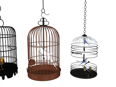 Decorative Ornament Set with Birdcages Black Brown Spiral Design and Bird Decorations for Home 3d model