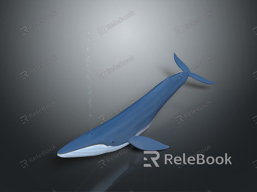 whale cartoon whale mammal marine mammal marine animal fish freshwater fish marine fish model