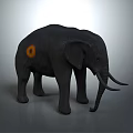 Black Elephant With Orange Circle Mark On Body Against Gray Background 3d model
