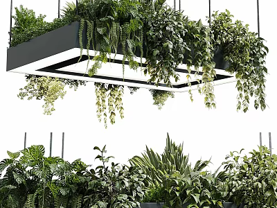 Modern Hanging Chandelier Decorated With Trailing Green Plants For Interior Design 3d model