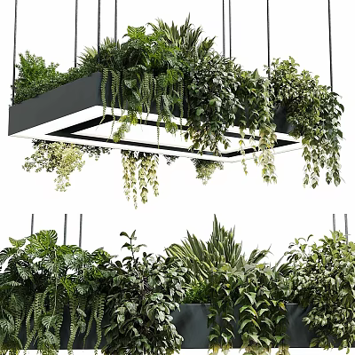 Modern Hanging Chandelier Decorated With Trailing Green Plants For Interior Design 3d model