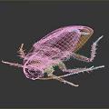 Detailed 3D Rendering Of Cockroach With Brown Exoskeleton Yellow Legs And Dark Background