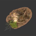Modern Natural Scene With Tree Stump Green Plants And Moss Covered Ground