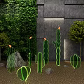 Garden Decorations With Glowing Cacti Green Wall Gray Stone Wall Small Trees And Stones