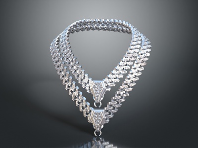 Modern Necklace Tianzhu Necklace Ornament Jewelry 3d model