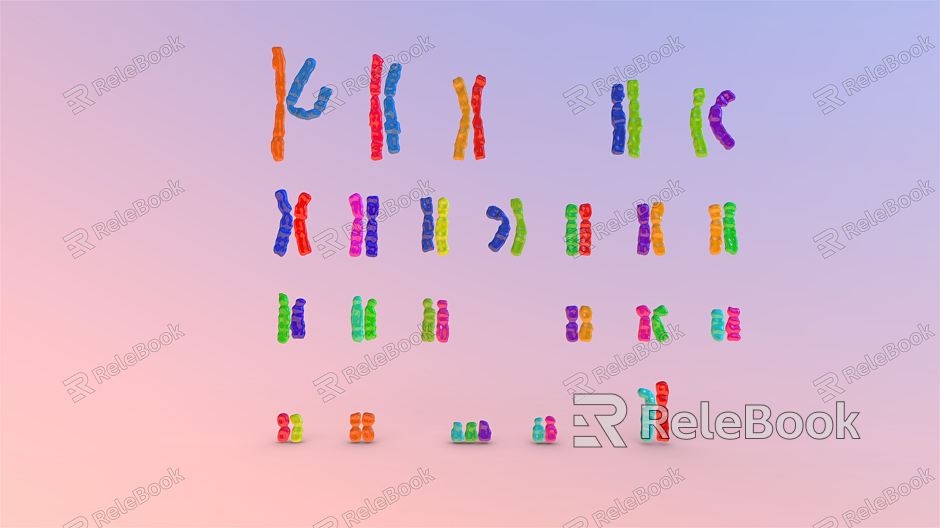 modern chromosome model