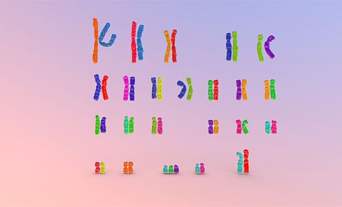 modern chromosome 3d model