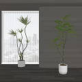 Modern Bonsai Plants in Stylish Interior with White Pots Window Blinds and City View
