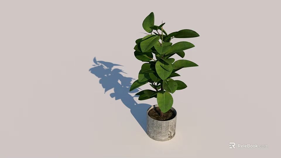 Lush Green Bonsai Potted Plant With Gray Pot And Light Background 3d model 