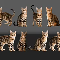 Eight Tiger Stripe Pattern Reptiles in Various Poses Against Gray Backdrop 3d model