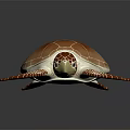 3D Rendered Brown And White Turtle With Textured Shell And Spotted Limbs On Dark Background