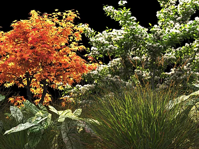 Vibrant Shrubs With Orange Foliage And White Flowers Among Green Grass And Surrounding Plants 3d model