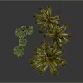 Lush Green Palm Trees And Various Tropical Plants With Vibrant Leaves