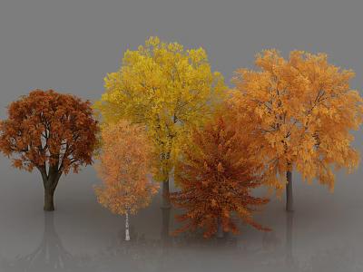 Colorful Autumn Trees With Red Yellow Orange Leaves Different Trunk Thicknesses Gray Background Ground Reflections 3d model