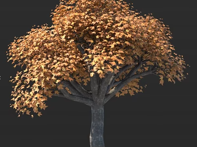 Tall Deciduous Tree With Lush Orange Autumn Leaves And Thick Brown Trunk 3d model