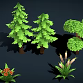 Diverse Plant Collection Including Trees Shrubs Flowers Mushrooms and Green Foliage