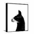 Black and White Llama Portrait Animal Painting Minimalist Wall Art for Home Decor
