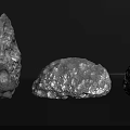 Three Rough Textured Animals Of Different Sizes On Black Background