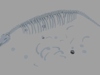 Detailed Dinosaur Skeleton 3D Model With Scattered Bones And Bone Fragments 3d model