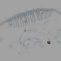 Detailed Dinosaur Skeleton 3D Model With Scattered Bones And Bone Fragments