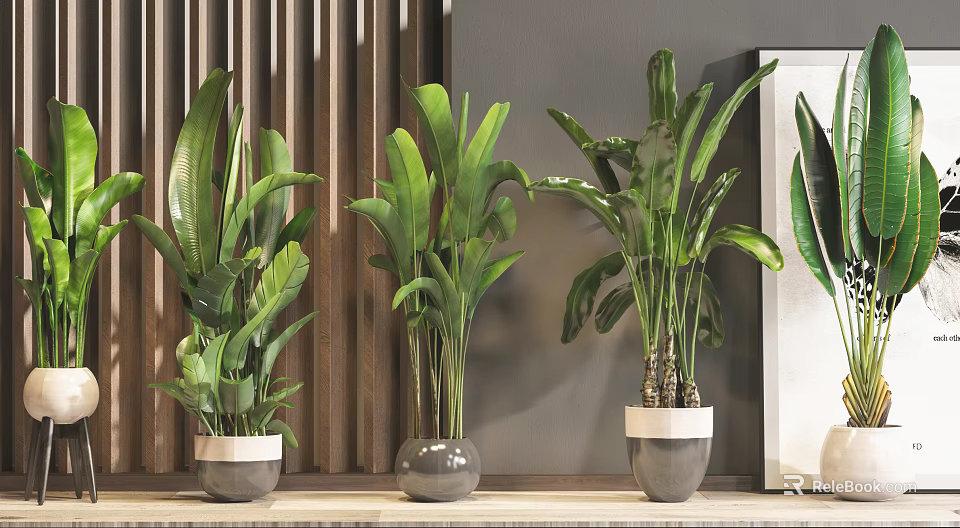 Three Indoor Potted Plants In Gray Ceramic Pots With Wooden Wall Background And Leaf Painting 3d model 